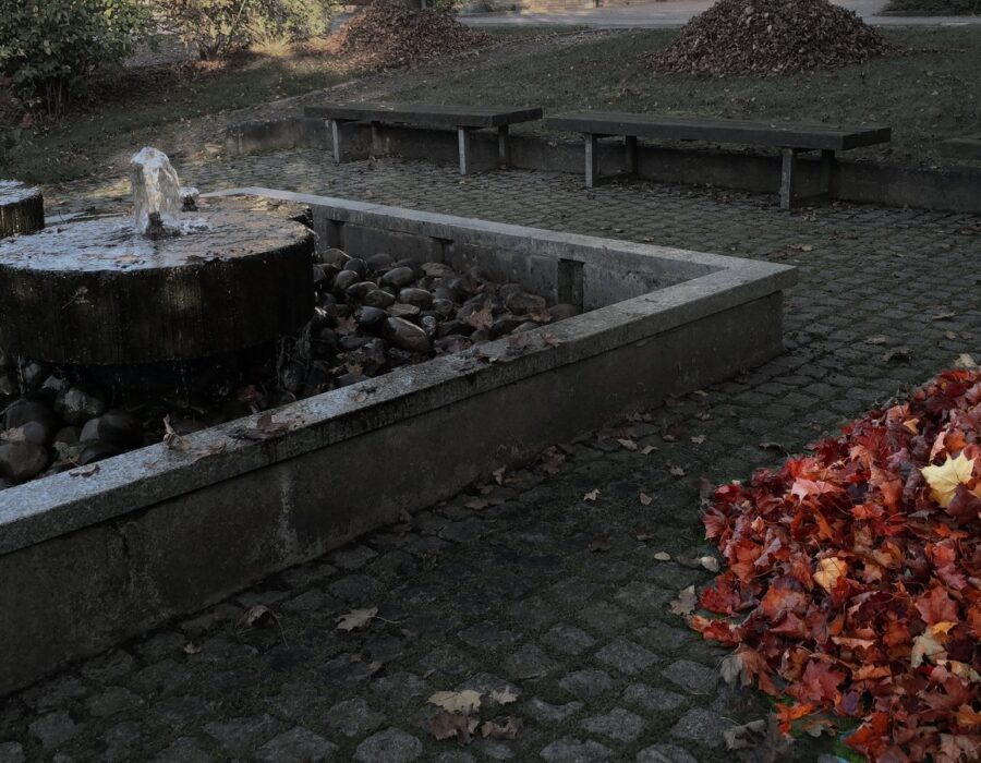 Brunnen Laub Herbst Color 2014 Brunnen Laub Herbst Color 2014
