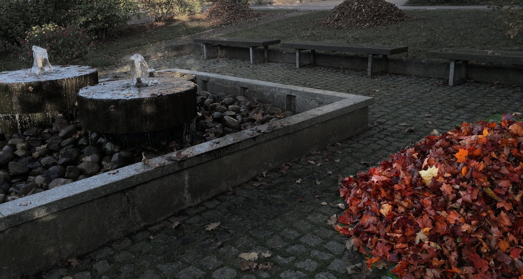 Brunnen Laub Herbst Color 2014